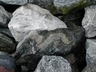 I 26 Tn NC border Metamorphics - Rip rap fill - loose block of Foliated Gneiss characterized by dark minerals that include amphiboles, biotite mica and white minerals which are a mix of feldspars and quartz