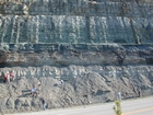 Mississippian Borden Formation, downslope just offshore clastic shelf in roadcut on Rt 801 Kentucky or the AA Highway