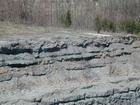 Intertidal carbonate storm deposits in outcrops of the Upper Mississippian Newman Formation. Roadcuts on Rt 519 of Eastern Kentucky south of Morehead in the western Appalachian Mountains