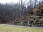 Algal mounds, ooid shoals, micrite ribbons, and shale at the base of the section in the roadcut along US Rt. 58 east of St Paul, Virginia. The outcrop exhibits an overall transgressive to regressive cycle (deepening & shoaling upward) in the Cambrian, Nolichucky Formation