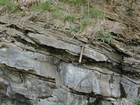 Nolichucky Formation Cambrian Algal Mounds Hansonville Virginia Rt 58 in ridge and valley region of Appalachian Mountains