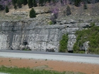 Mississippian Newman Limestone shallow water high energy Ooid shoal facies Eastern Kentucky on I 64 in Western Appalachian Mountains close to Olive Hill