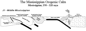 Cross section the captures the structure and stratigraphy of the Middle Mississipinian of the Appalachian Mountains (courtesy of Lynn S. Fichter).