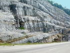 Sharp contact between top of unit 113 and bottom 112, see the measured Geological Section, Kentucky Geological Survey Field Trip Guide 1998. Overview of the shallow water limestones of the Lower Mississippian Newman Limestone Formation features to be seen in figures 137 through 141 just above the contact with the Mississippian Grainger Formation