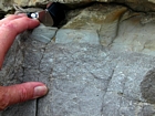 The intraclastic packstone fabric seen here in the Lower Mississippian Newman Limestone Formation, probably formed in a response to storm waves erosion and transport across the shelf surface. It is tied to the irregular eroded character of the associated bedding planes, though local currents probably account for the low angle cross beds and carbonate mound margin clinoforms that suggest migrating bodies which moved across this setting. Tan is top of unit 108, see the measured Geological Section, Kentucky Geological Survey Field Trip Guide 1998