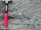 Interbedded intraclastic packstone, with local corals and other bioclasts and mudstones forming the Lower Mississippian Newman Limestone Formation. Here these carbonates probably accumulated in a response to storm wave erosion just seaward of the shoreface, waves driving local transport of this sediments across this shallow lagoonal shelf surface producing the local irregular eroded character of the bedding planes. This is unit 101 of the measured Geological Section, Kentucky Geological Survey Field Trip Guide, 1998