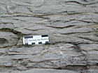 Photograph featuring wave dominated hummocky cross-bedded and thin-bedded irregular and lenticular-bedded shallow water packstones and mudstones of the Lower Mississippian Newman Limestone Formation interpreted to have accumulated just seaward of a shore face within wave base. This is unit 108 of the measured Geological Section, Kentucky Geological Survey Field Trip Guide, 1998