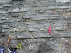 These are interpreted as storm dominated carbonates with wave and current scour at their base, containing gravels of bioclastic debris in a micritic to shaley matrix at the base of the Mississippian Little Lime of the Upper Newman, Note 85 Paint Mark of the measured section published by the Geological Survey of Kentucky's 1998 for the Field Trip they conducted at Pound Gap