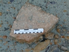 Silurian shallow water carbonates of Brassfield Formation