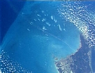 Whtings BahamasWhitings on GBB from Space Shuttle, 14 Apr 1993