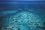 Patch reefs to the lea of the Belize Barrier Reef: photo National Geographic