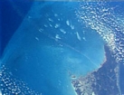 Whtings BahamasWhitings on GBB from Space Shuttle, 14 Apr 1993