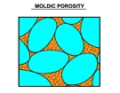Moldic Porosity