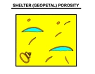 Shelter Porosity