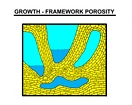 Growth Framework Porosity