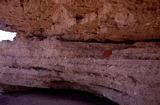 Pleistocene Sweers Isand Carpentaria