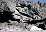 Beach Underlying Pleistocene North Island Carpentaria