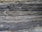 Condensed deeper water sections with Goniatite fauna in the Ross Formation of Dunmore Bay
