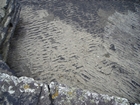 Exposures of rippled on bedding plane surfaces of the deepwater sediment of the Upper Carboniferous Ross Sandstone close to at Fisherman's Point.