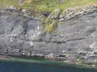 Gull Island Formation with solated turbidite-filled channels and large deformation structures signifying its slope origin.