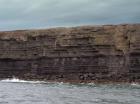 Kilclogher Cliffs exposing deepwater sandstone lobes of the Ross Formation. In the section below are thinner bedded more distal portions of lobes while above are thicker bedded sands towards axies of the lobes.