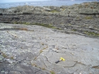 Irregularly bedded sandstone sheets of deepwater lobes of Ross Formation with some of the irregular character representing the cross sections of megaflute fill.