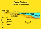Florida Pleistocene X Section
