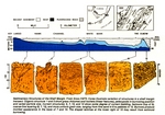 Reef margin X section