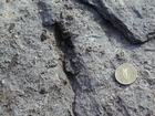 Hook Head Co Wexford Lower Carboniferous slope Lst