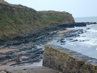 South Lumsdin's Bay Hook Head Carboniferous Porter's Gate Formation