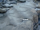 South Lumsdin's Bay Hook Head wave ripples in the Lower Carboniferous Porter's Gate Formation