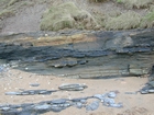 South Lumsdin's Bay Hook Head Carboniferous Porter's Gate Formation