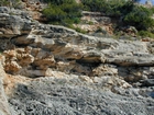 Cala Pi Pliocene Beach Luis Pomar and Christopher Kendall