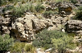Mc Kitrick Canyon