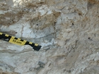 Note anhydrite layer and nodules (white-grey material that looks like cream cheese) in a matrix of storm washover and outwash (light brown sediment). This layer just above the marine water table and cyanobacterial peats and below the surface halite crusts. Note the vertical tubes (filled with the darker sediment) penetrating the anhydrite nodules and layers. These tubes have smooth curvillinar walls that appear to have been produced by small insects. Musafa Channel Section Abu Dhabi