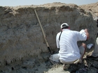 Burrows and marine plant roots beside Fabien Kenig examining the Musafa Channel Section Abu Dhabi