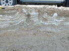 Note anhydrite layer and nodules (white-grey material that looks like cream cheese) in a matrix of storm washover and outwash (light brown sediment). This layer just above the marine water table and below the surface halite crusts. Note the vertical tubes (filled with the darker sediment) penetrating the anhydrite nodules and layers. These tubes have smooth curvillinar walls that appear to have been produced by small insects. Note the intertidal to just subtidal lagoonal muds and sands below the anhydrite layers. Musafa Channel Section Abu Dhabi