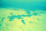 Dhubaiya Reef Blue Holes