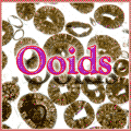Ooids