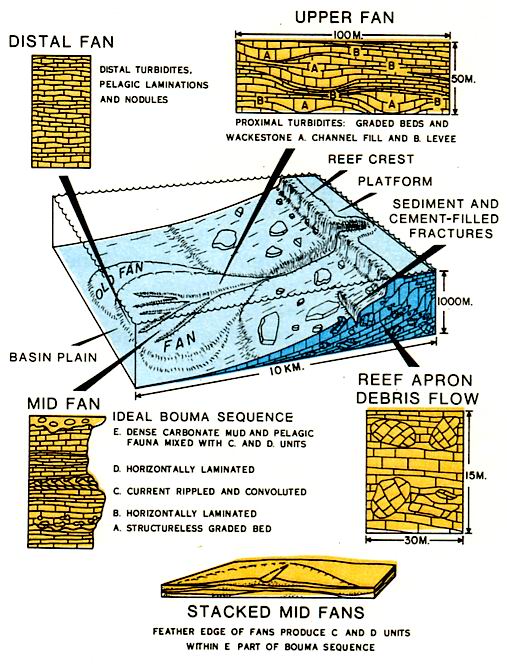 Carbonates deposited at margin between shallow-water platform and deeper water Basin