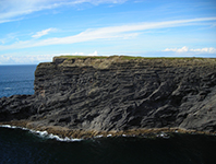 Gull Island Formation