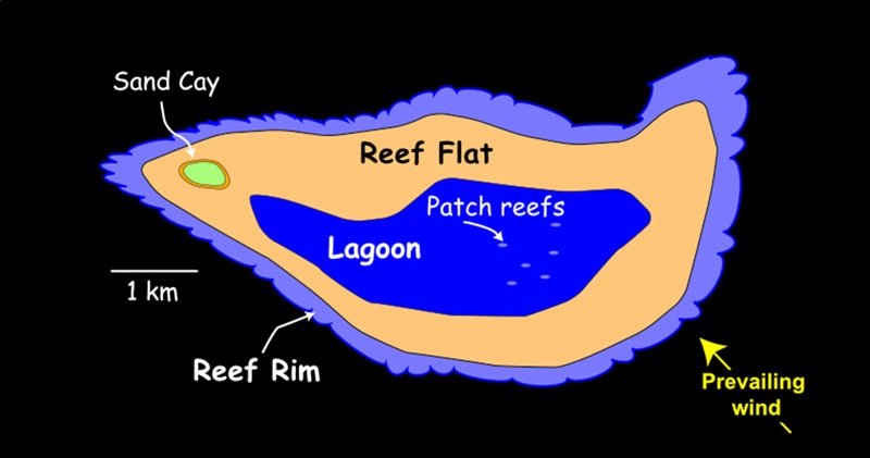 Platform Reef Examples Heron Island Reef - SEPM Strata